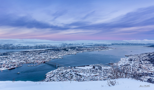 Beskriv bildet /  Fotograf: